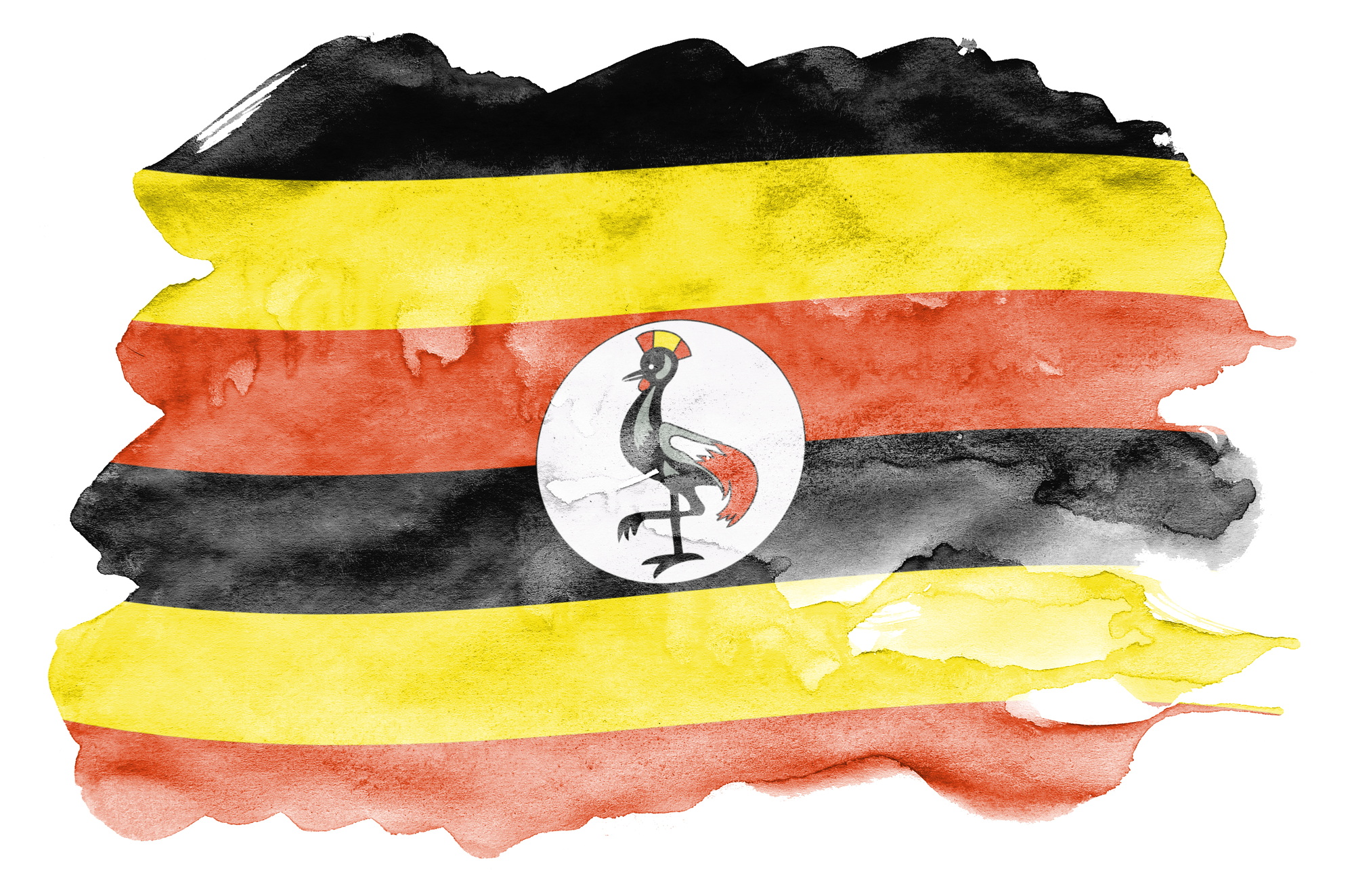 Uganda flag is depicted in liquid watercolor style isolated on white background